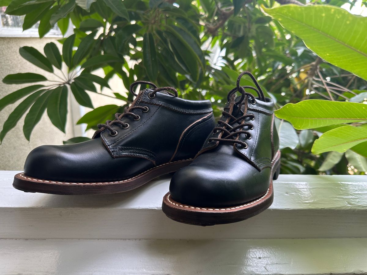 Photo by citylicker on November 10, 2023 of the Rolling Dub Trio Coupen in Horween Black Chromexcel.