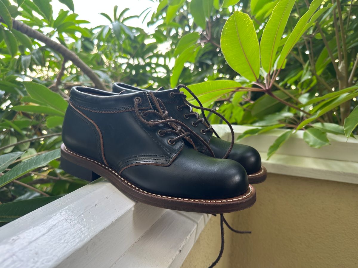 Photo by citylicker on November 10, 2023 of the Rolling Dub Trio Coupen in Horween Black Chromexcel.