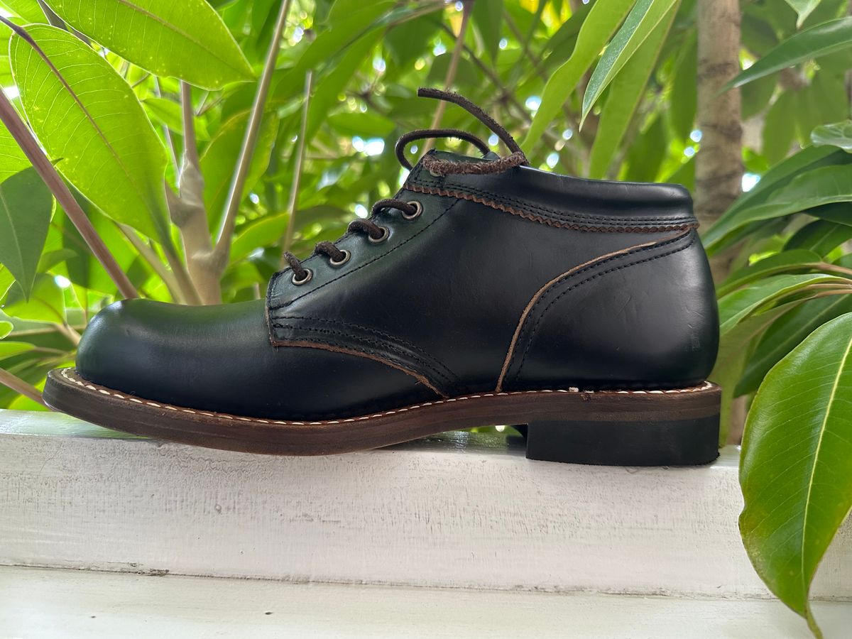 Photo by citylicker on November 10, 2023 of the Rolling Dub Trio Coupen in Horween Black Chromexcel.