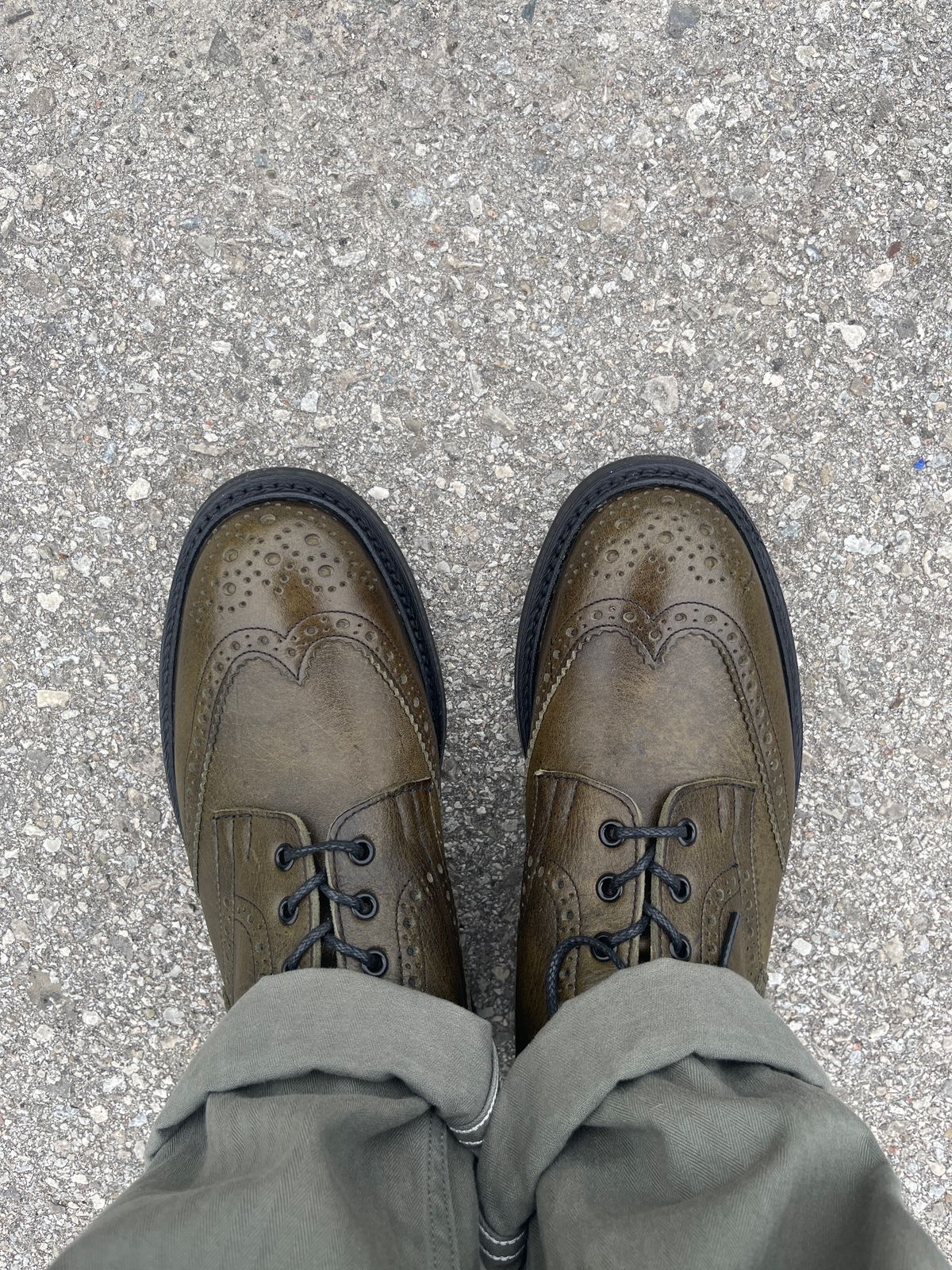 Photo by pasghetti_western on August 27, 2023 of the Tricker's Stow Country Boot in C.F. Stead Moss Kudu.