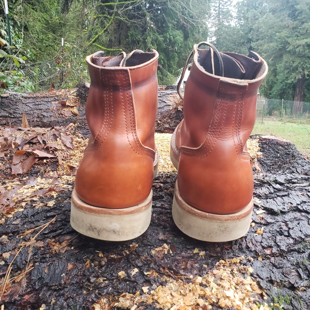 Photo by woutvafan on January 5, 2025 of the Nicks Free Range in Wickett & Craig Tan Oiled Latigo.