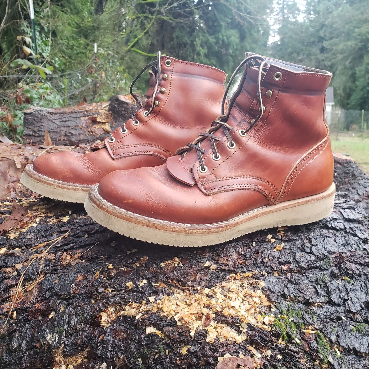 Photo by woutvafan on January 5, 2025 of the Nicks Free Range in Wickett & Craig Tan Oiled Latigo.