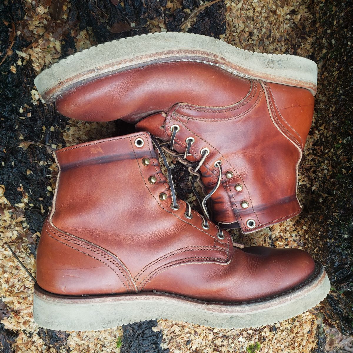 Photo by woutvafan on January 5, 2025 of the Nicks Free Range in Wickett & Craig Tan Oiled Latigo.