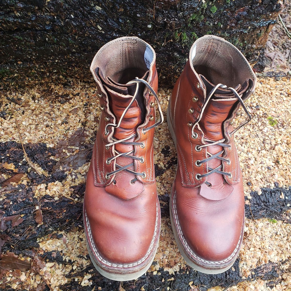 Photo by woutvafan on January 5, 2025 of the Nicks Free Range in Wickett & Craig Tan Oiled Latigo.