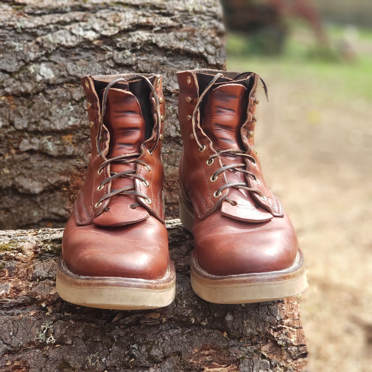 Photo by woutvafan on April 5, 2025 of the Nicks Free Range in Wickett & Craig Tan Oiled Latigo.