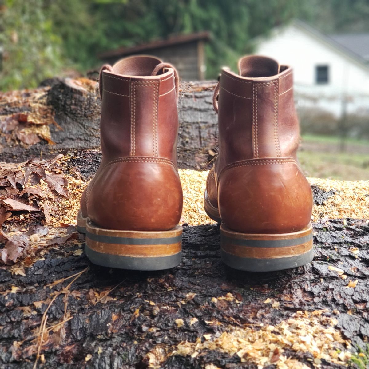 Photo by woutvafan on January 5, 2025 of the Truman Cap Toe Boot in Gallun Cognac Horse Rump.