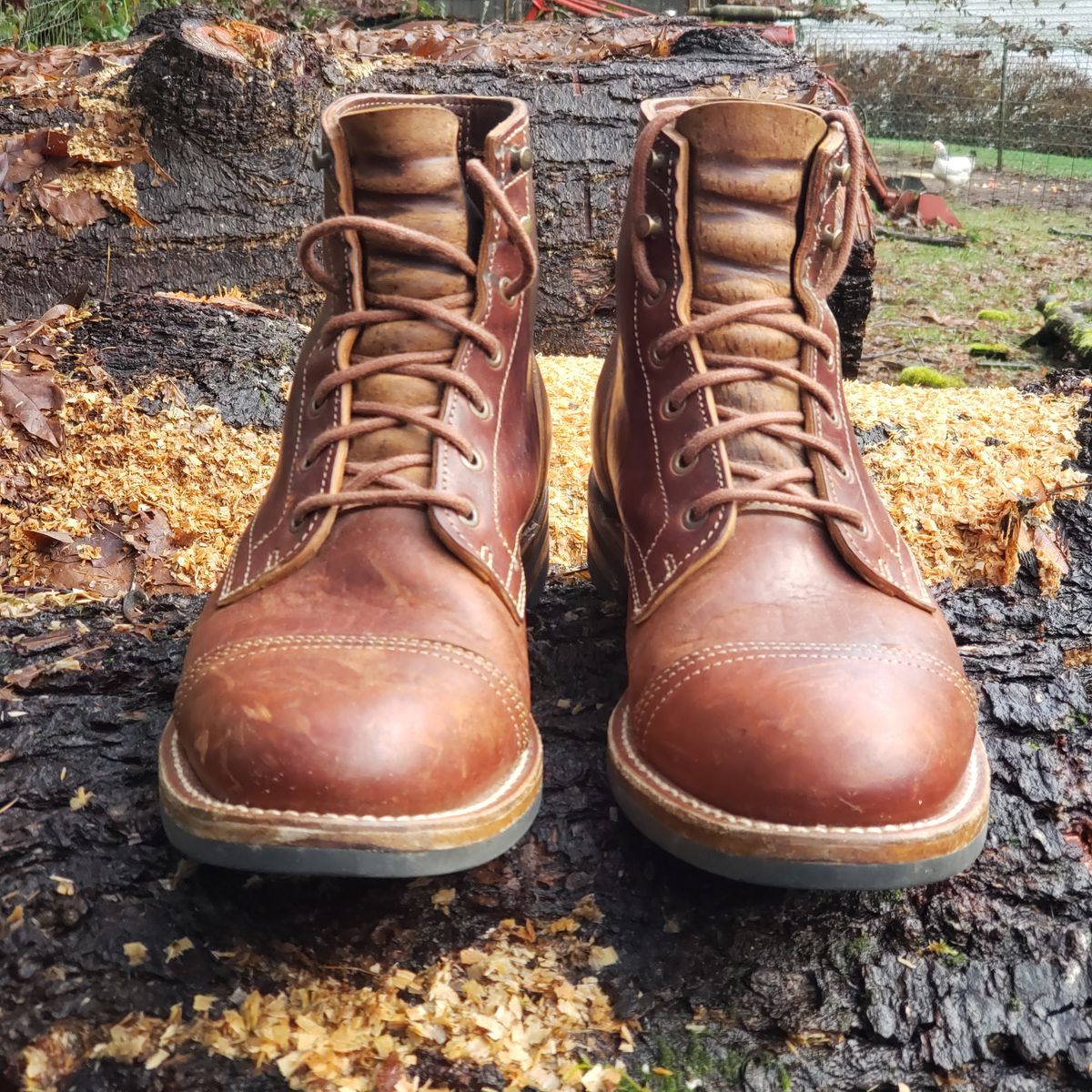 Photo by woutvafan on January 5, 2025 of the Truman Cap Toe Boot in Gallun Cognac Horse Rump.