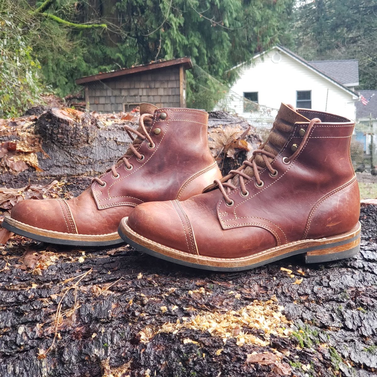 Photo by woutvafan on January 5, 2025 of the Truman Cap Toe Boot in Gallun Cognac Horse Rump.