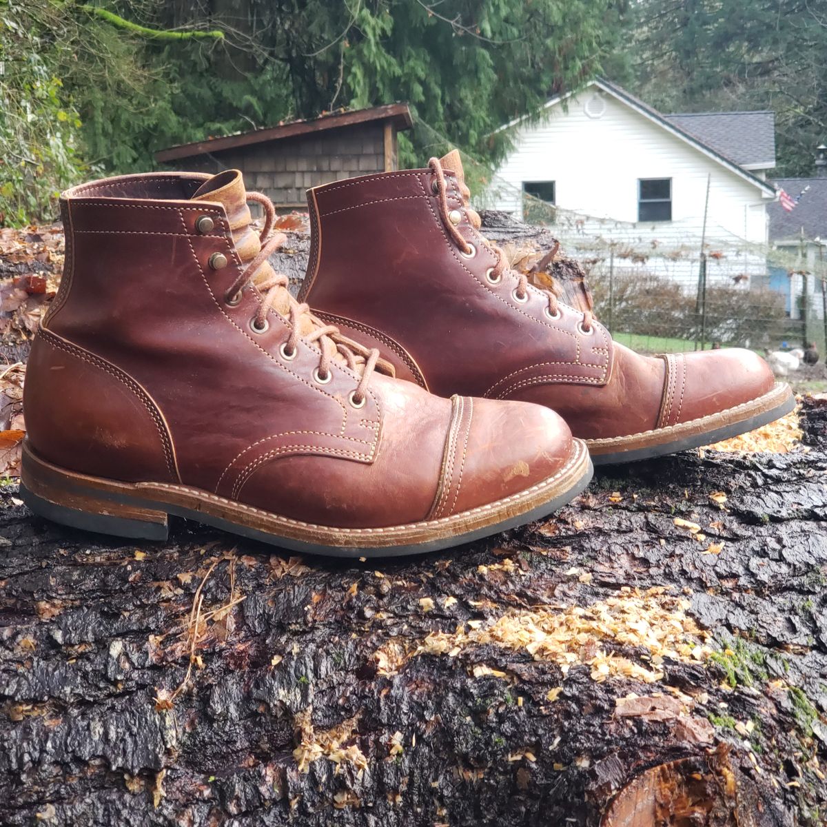 Photo by woutvafan on January 5, 2025 of the Truman Cap Toe Boot in Gallun Cognac Horse Rump.