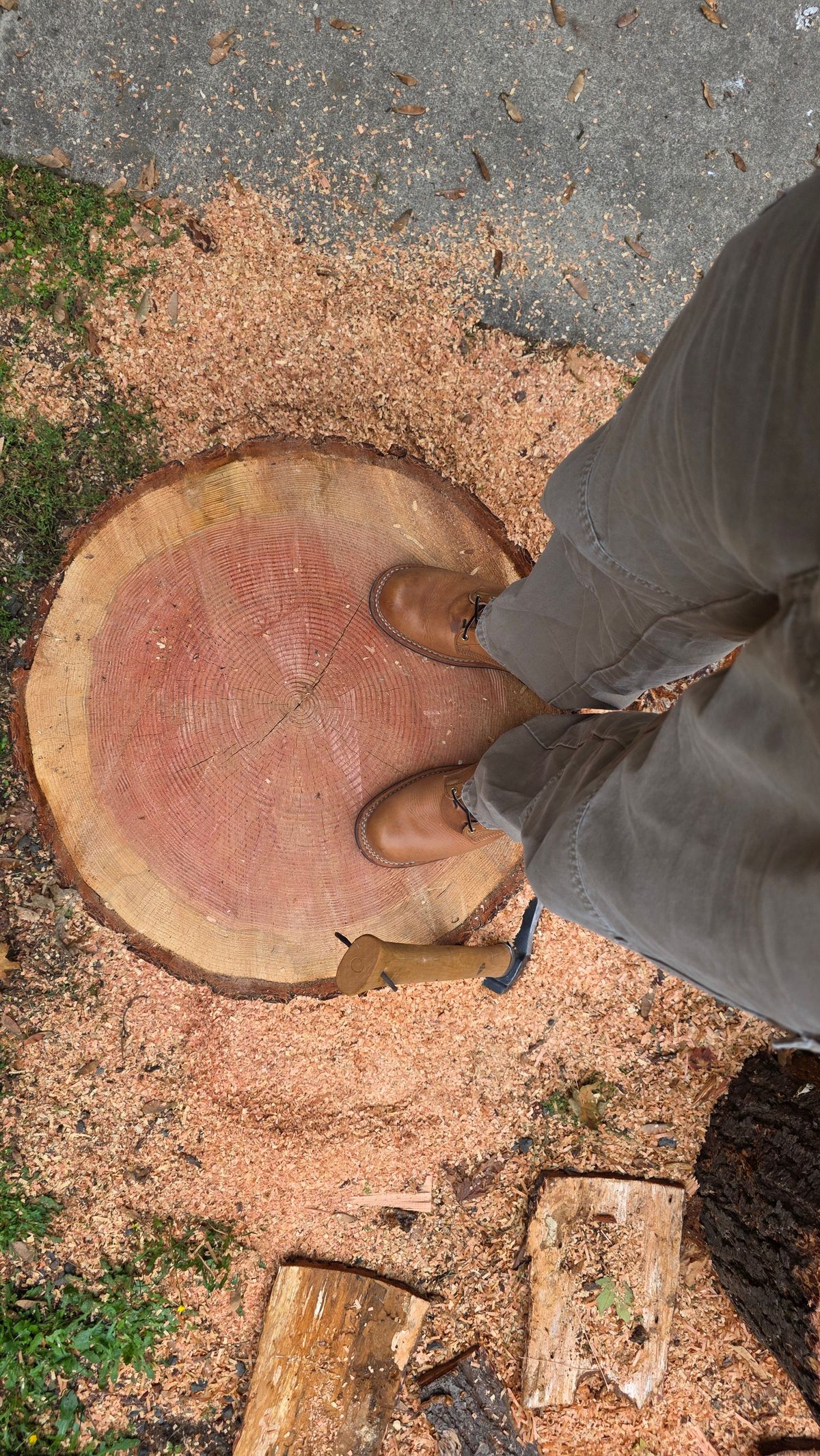 Photo by woutvafan on October 8, 2025 of the Nicks Robert in Horween Light Natural Dublin.