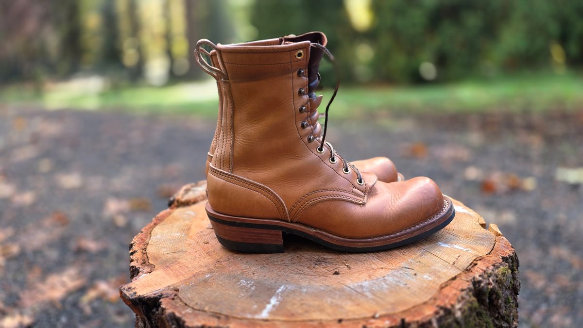 Photo by woutvafan on November 2, 2025 of the Nicks Robert in Horween Light Natural Dublin.