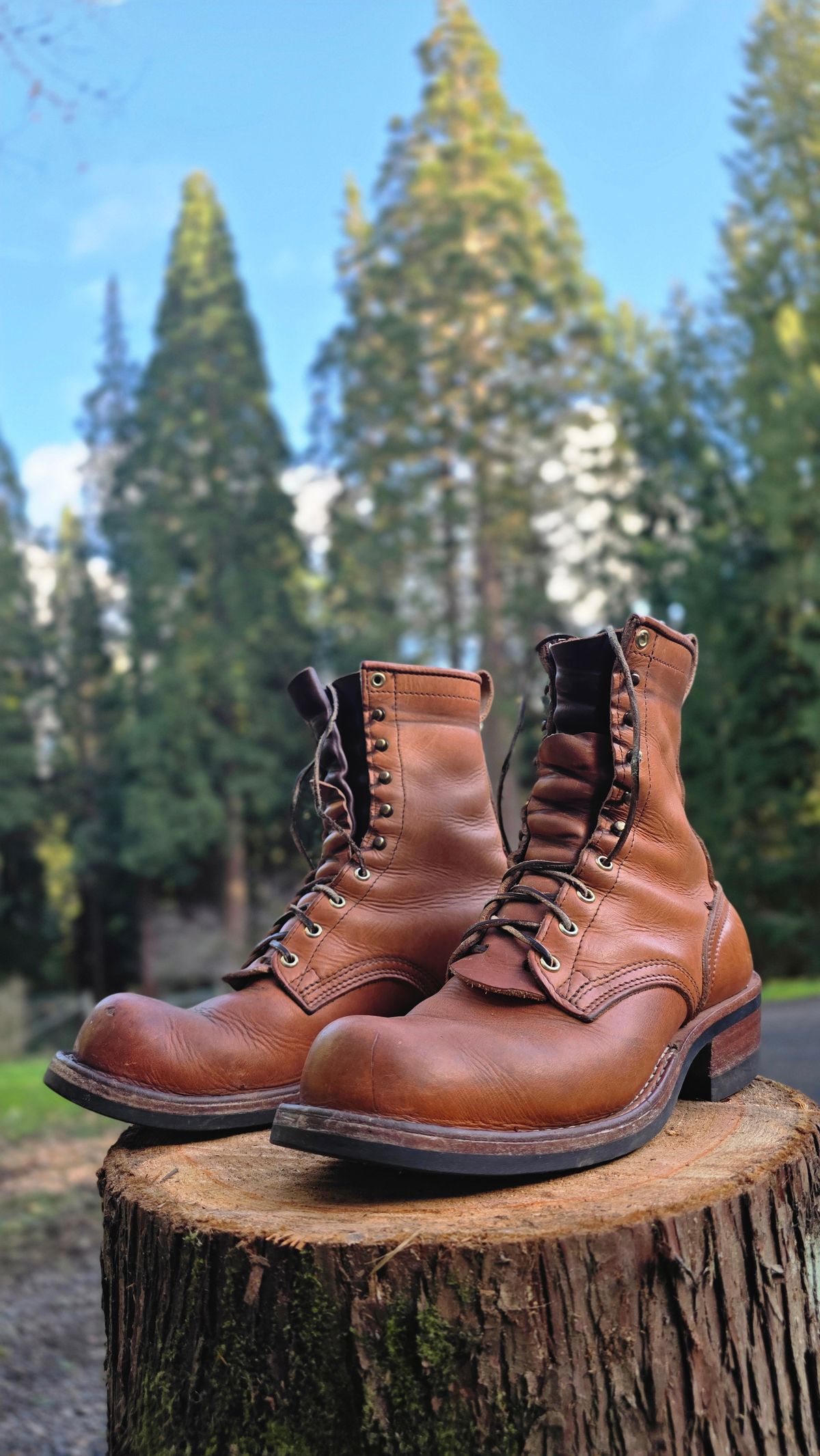 Photo by woutvafan on March 5, 2026 of the Nicks Robert in Horween Light Natural Dublin.