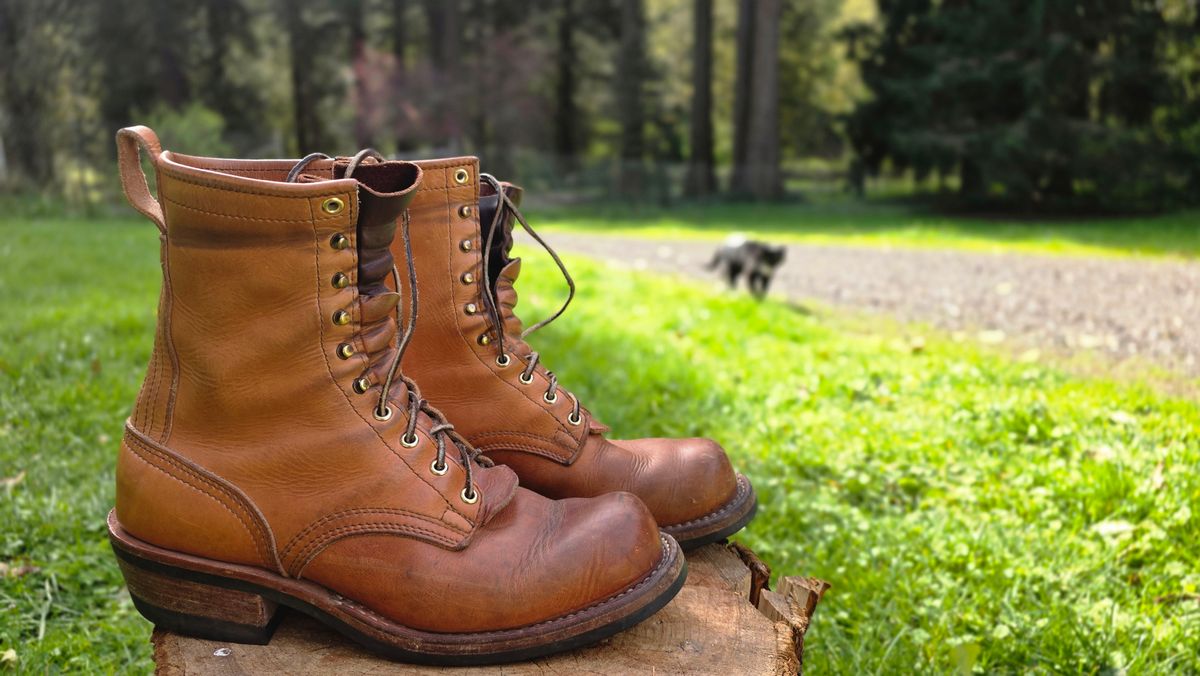 Photo by woutvafan on April 5, 2026 of the Nicks Robert in Horween Light Natural Dublin.