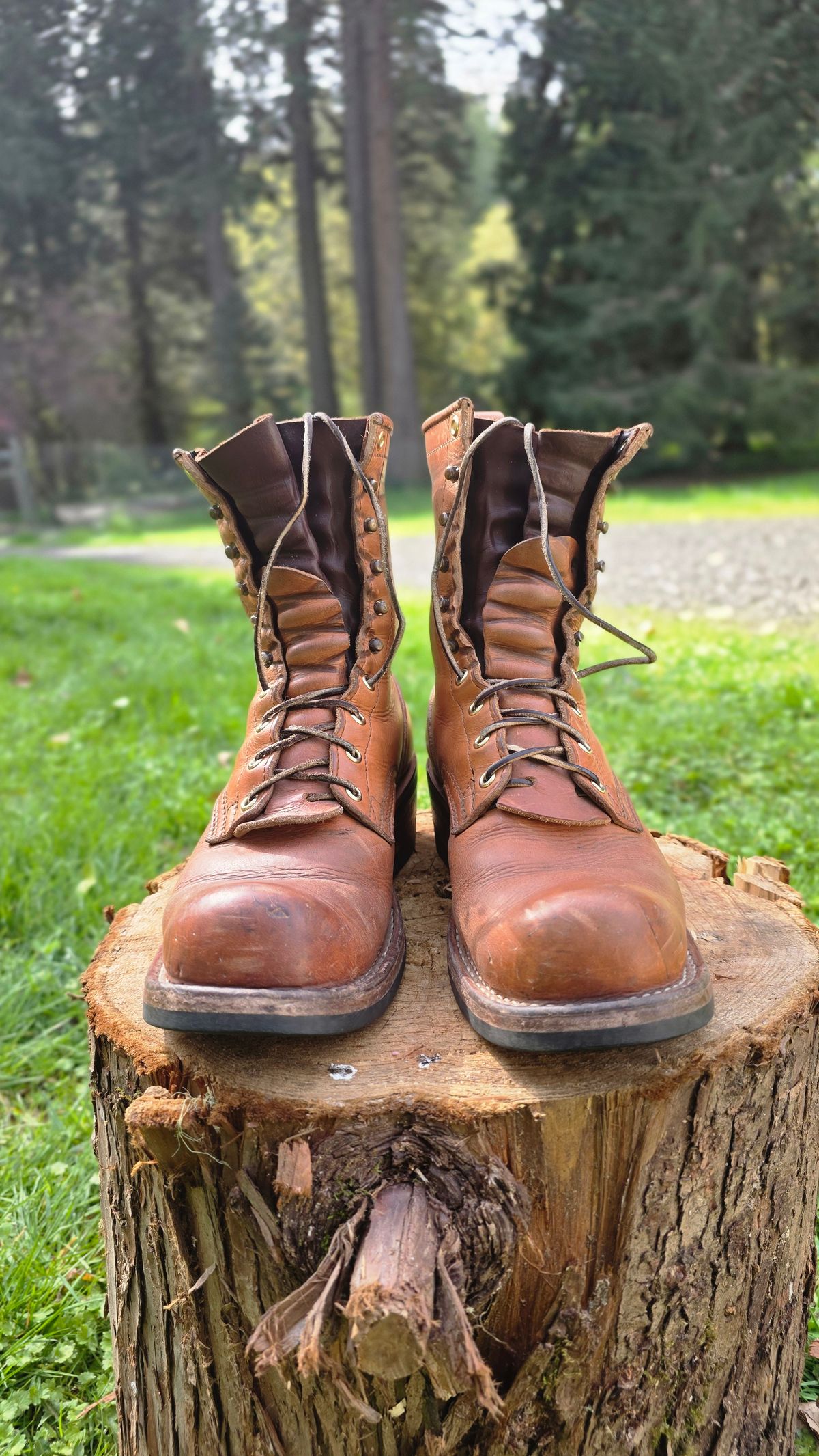 Photo by woutvafan on April 5, 2026 of the Nicks Robert in Horween Light Natural Dublin.