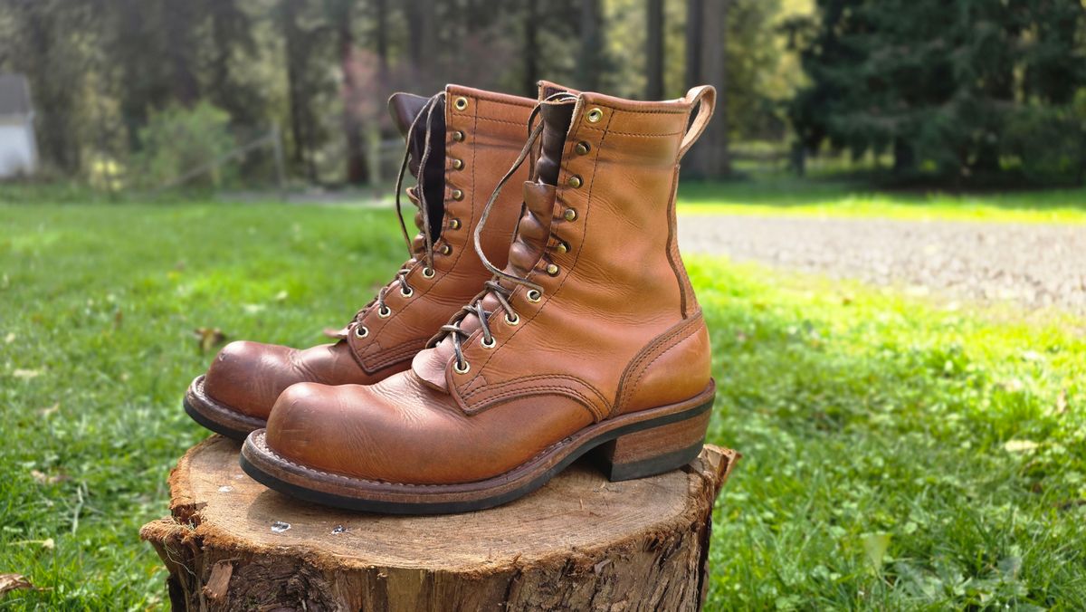 Photo by woutvafan on April 5, 2026 of the Nicks Robert in Horween Light Natural Dublin.