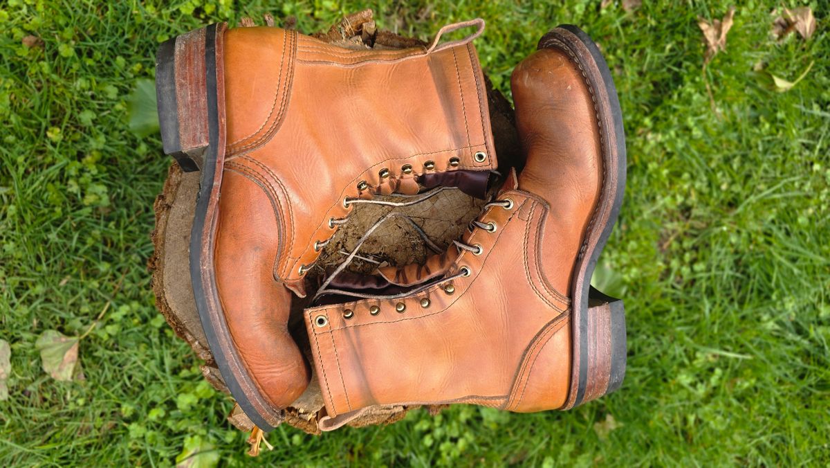 Photo by woutvafan on April 5, 2026 of the Nicks Robert in Horween Light Natural Dublin.