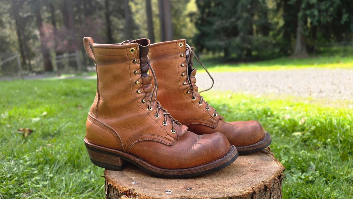 Photo by woutvafan on April 5, 2026 of the Nicks Robert in Horween Light Natural Dublin.