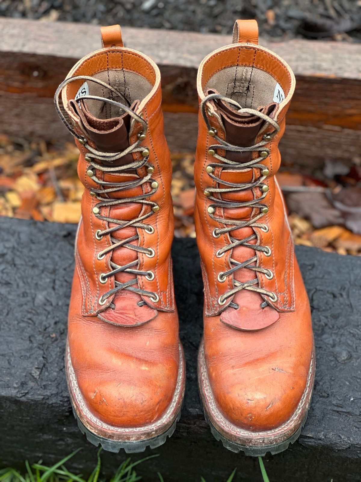 Photo by woutvafan on March 4, 2024 of the Nicks DomePro in Wickett & Craig Tan English Bridle.
