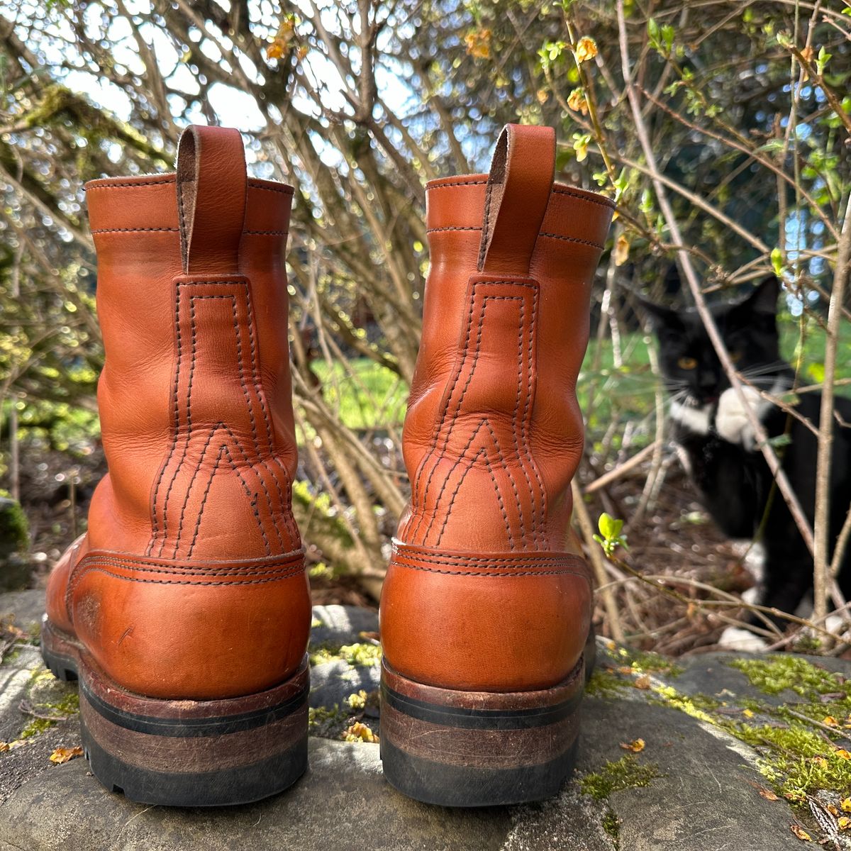 Photo by woutvafan on April 1, 2024 of the Nicks DomePro in Wickett & Craig Tan English Bridle.