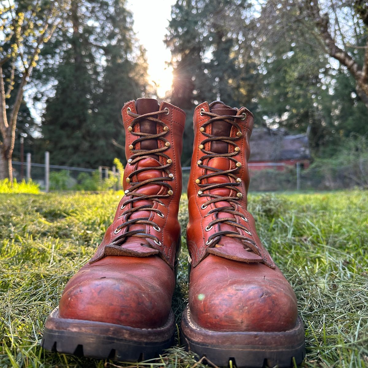 Photo by woutvafan on April 1, 2024 of the Nicks DomePro in Wickett & Craig Tan English Bridle.
