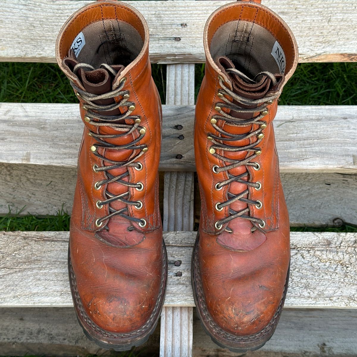 Photo by woutvafan on April 1, 2024 of the Nicks DomePro in Wickett & Craig Tan English Bridle.