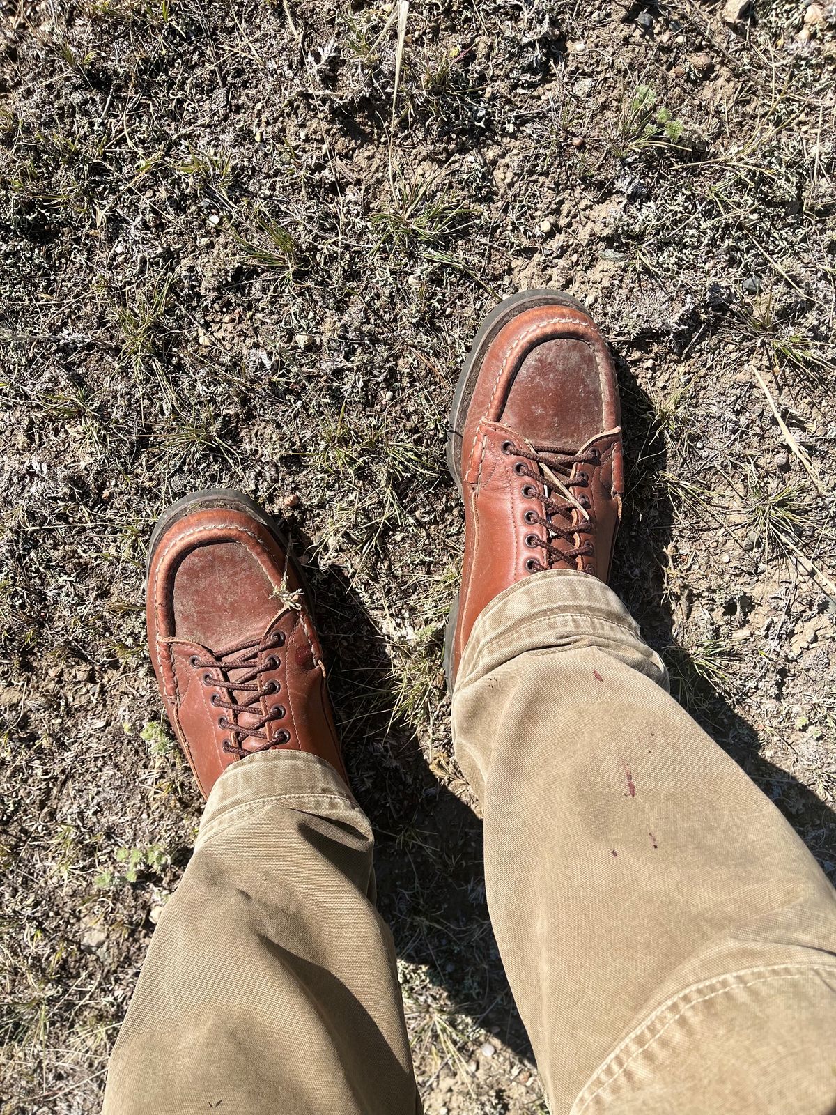Photo by philbert on October 24, 2022 of the Russell Moccasin Co. Woodcock TLC in Richard Hoffmans Tan German Elk.