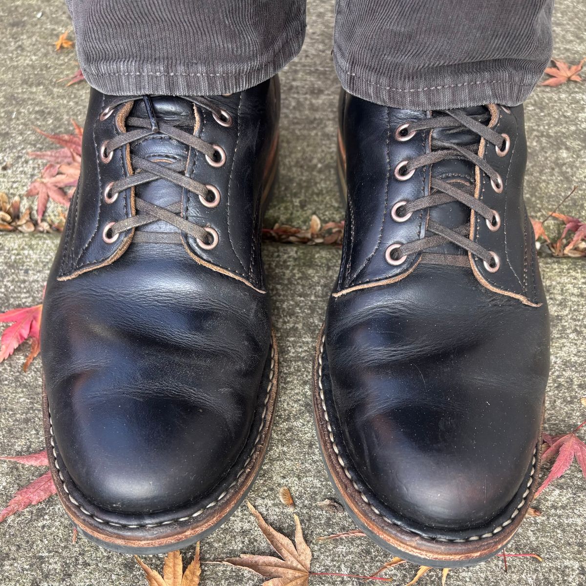 Photo by philbert on November 19, 2025 of the White's MP-Sherman Plain Toe in Horween Black Chromexcel.