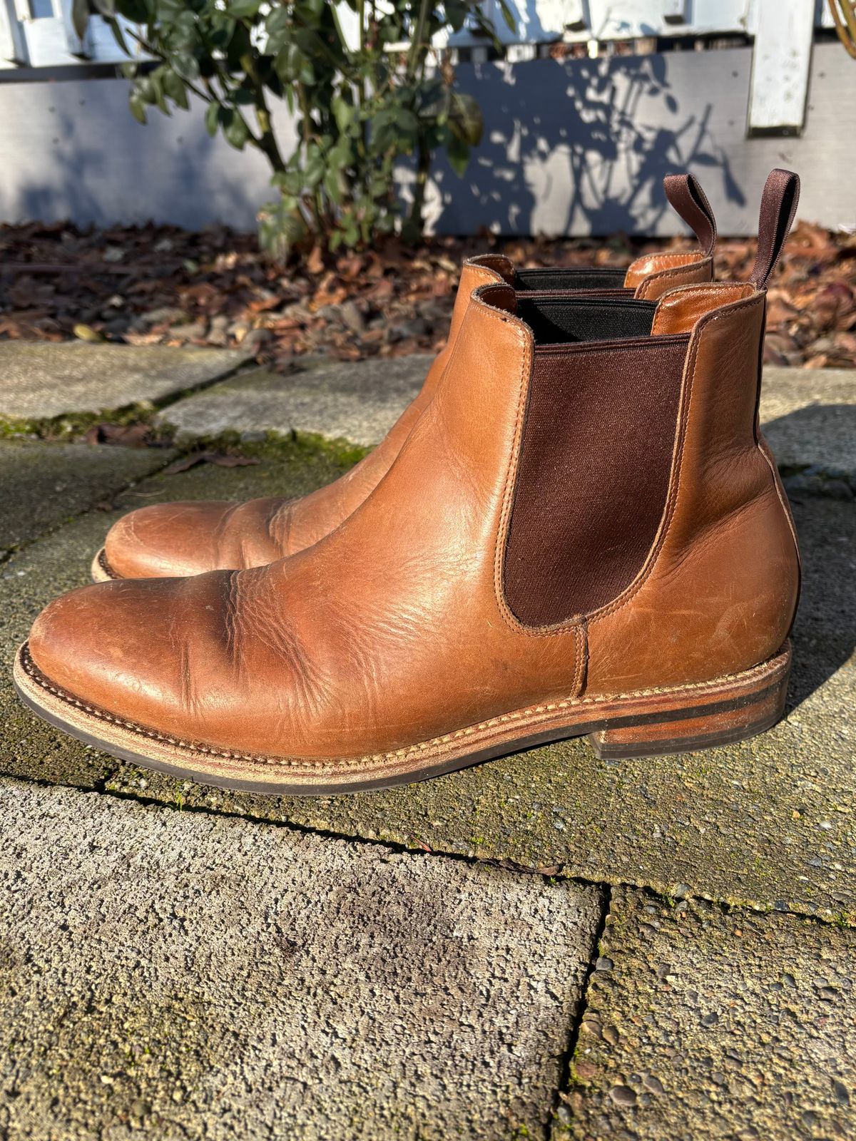 Photo by philbert on December 4, 2024 of the Grant Stone Chelsea Boot in Horween Dune Chromexcel.