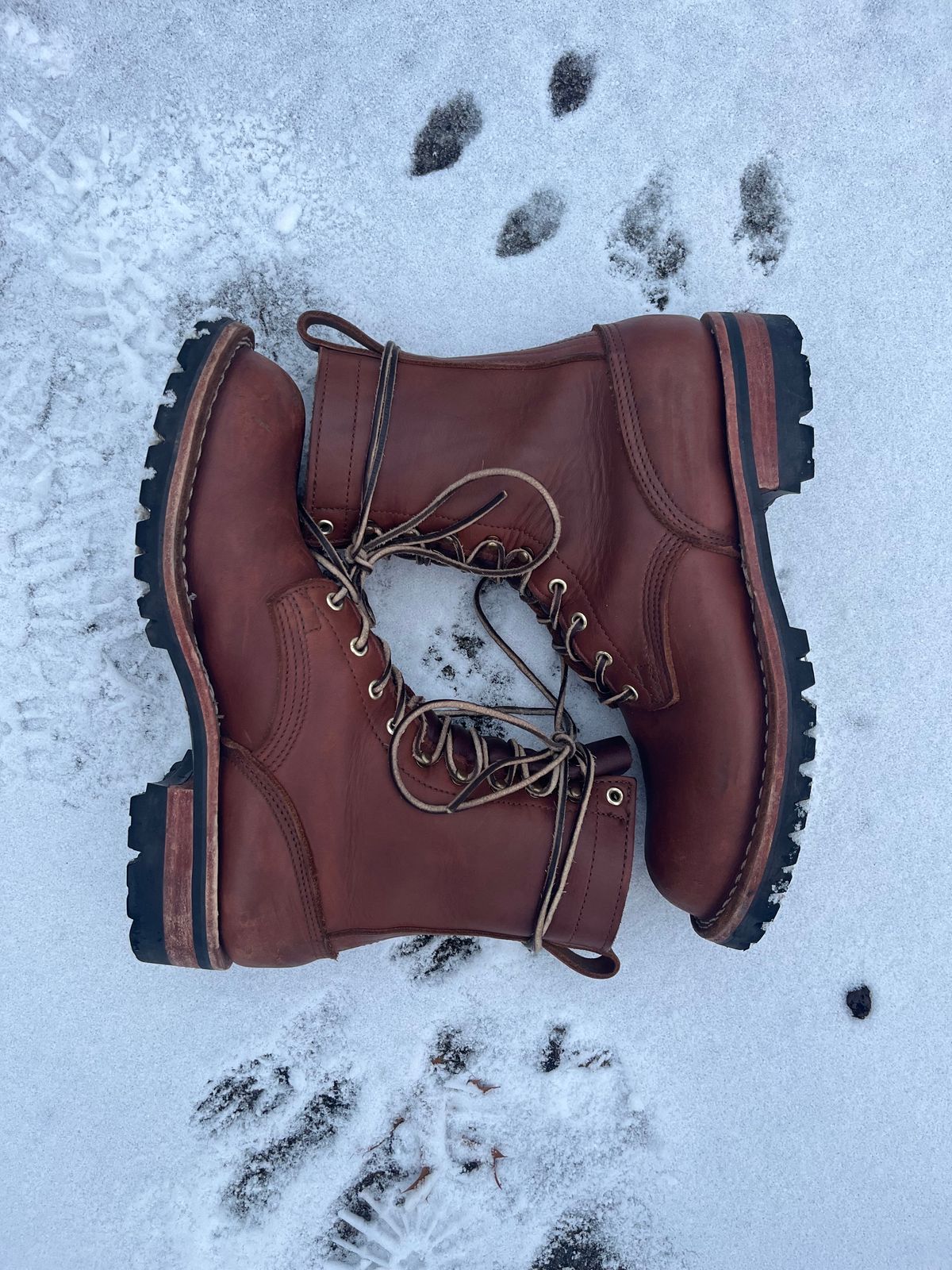 Photo by DiscoBiscuits on January 1, 2024 of the Nicks Overlander in Seidel 1964 Brown.