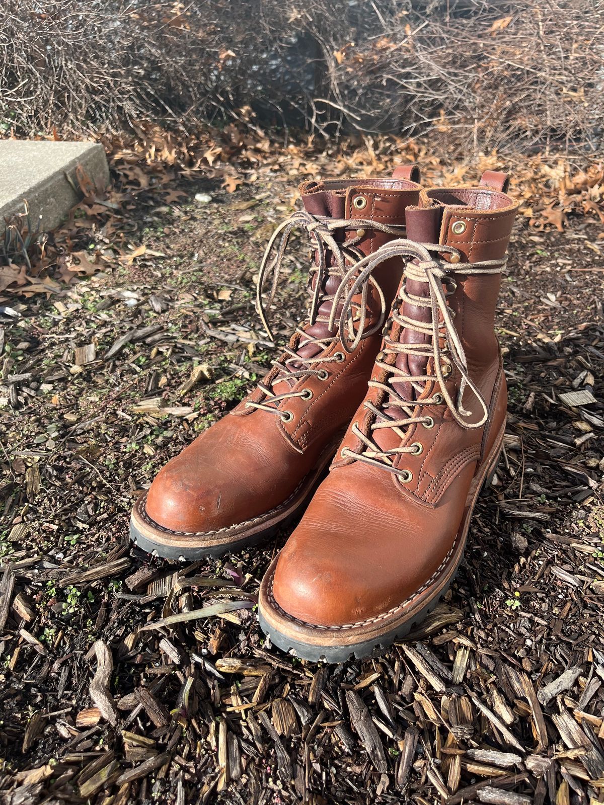 Photo by DiscoBiscuits on March 2, 2024 of the Nicks Overlander in Seidel 1964 Brown.