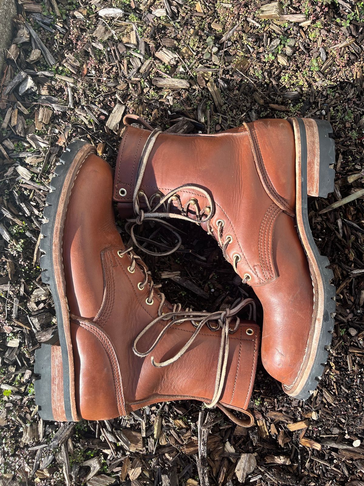 Photo by DiscoBiscuits on March 2, 2024 of the Nicks Overlander in Seidel 1964 Brown.