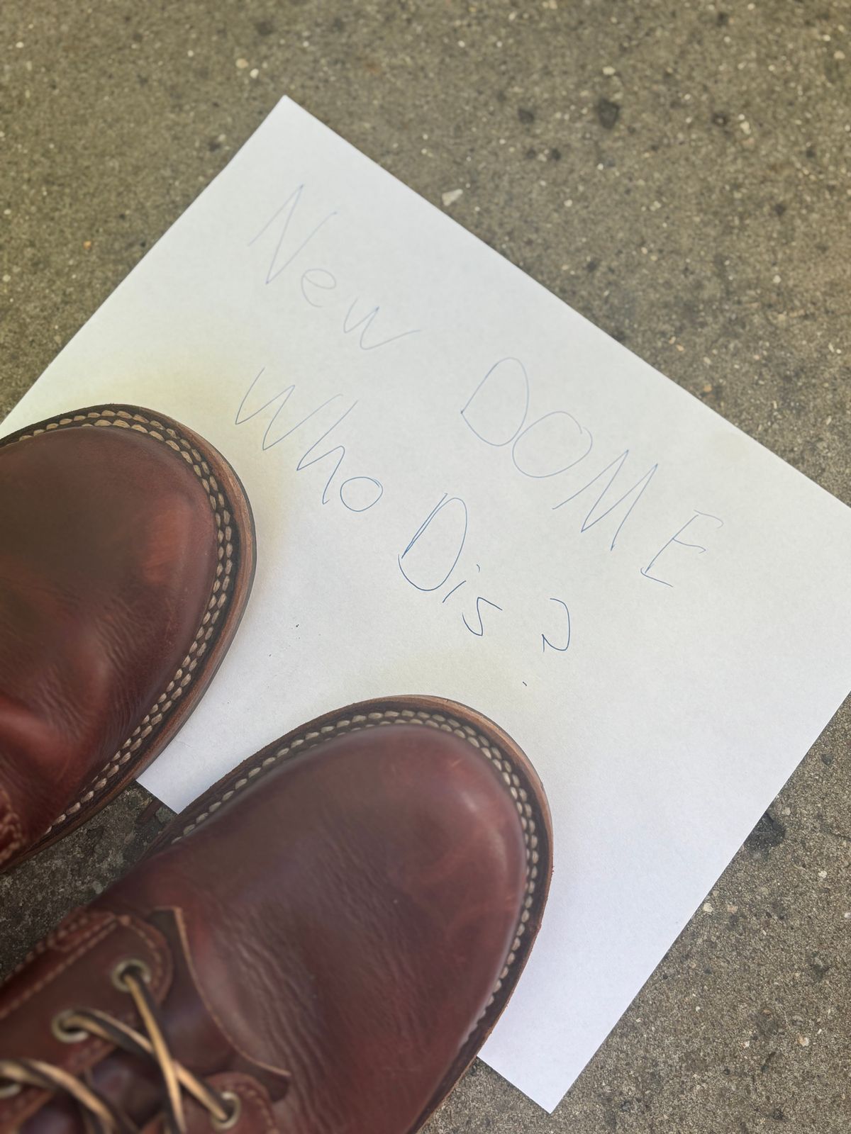 Photo by DiscoBiscuits on October 2, 2025 of the Drew's Boots 6-Inch Contractor in Rogue Smooth.