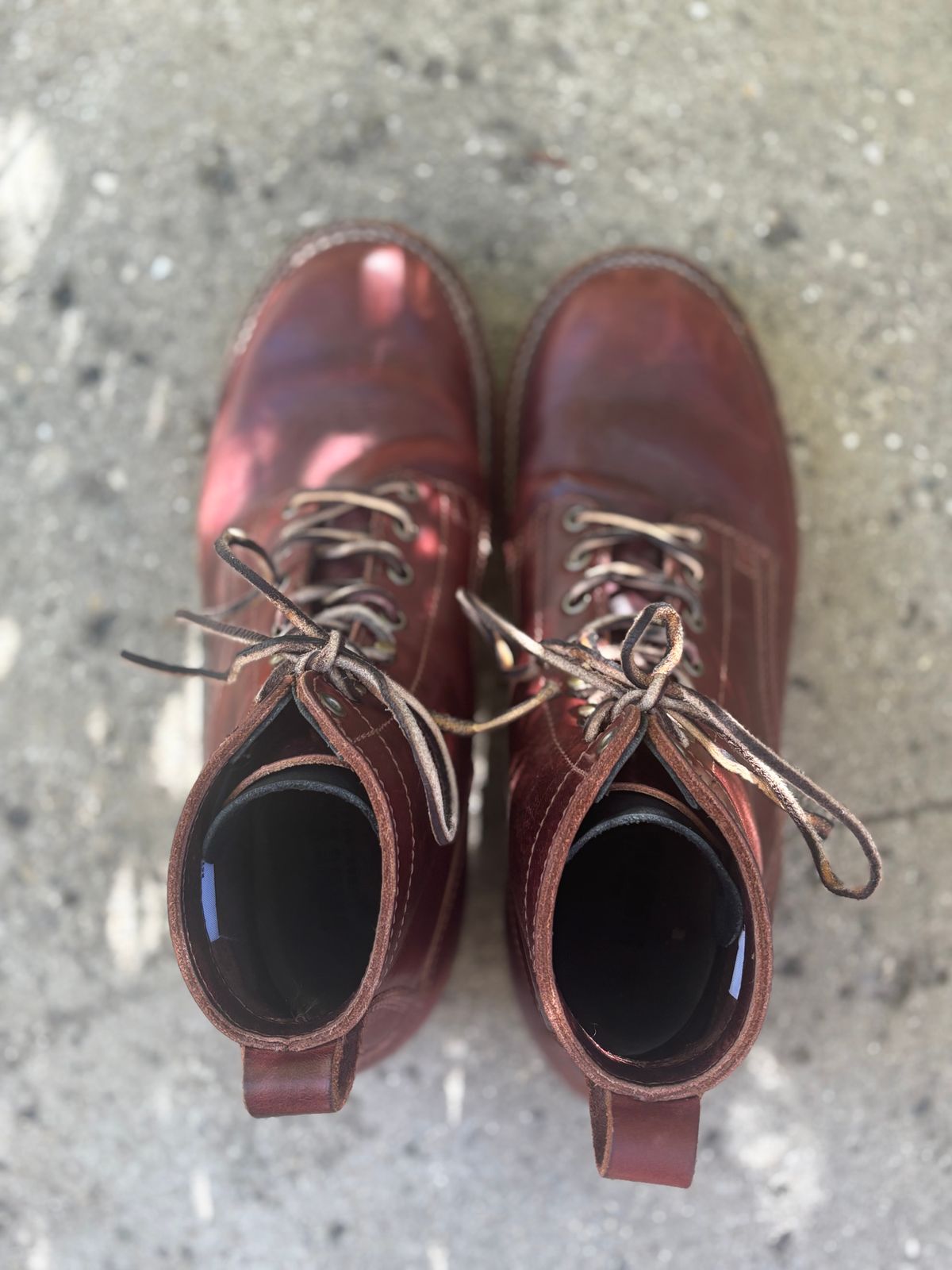 Photo by DiscoBiscuits on October 2, 2025 of the Drew's Boots 6-Inch Contractor in Rogue Smooth.