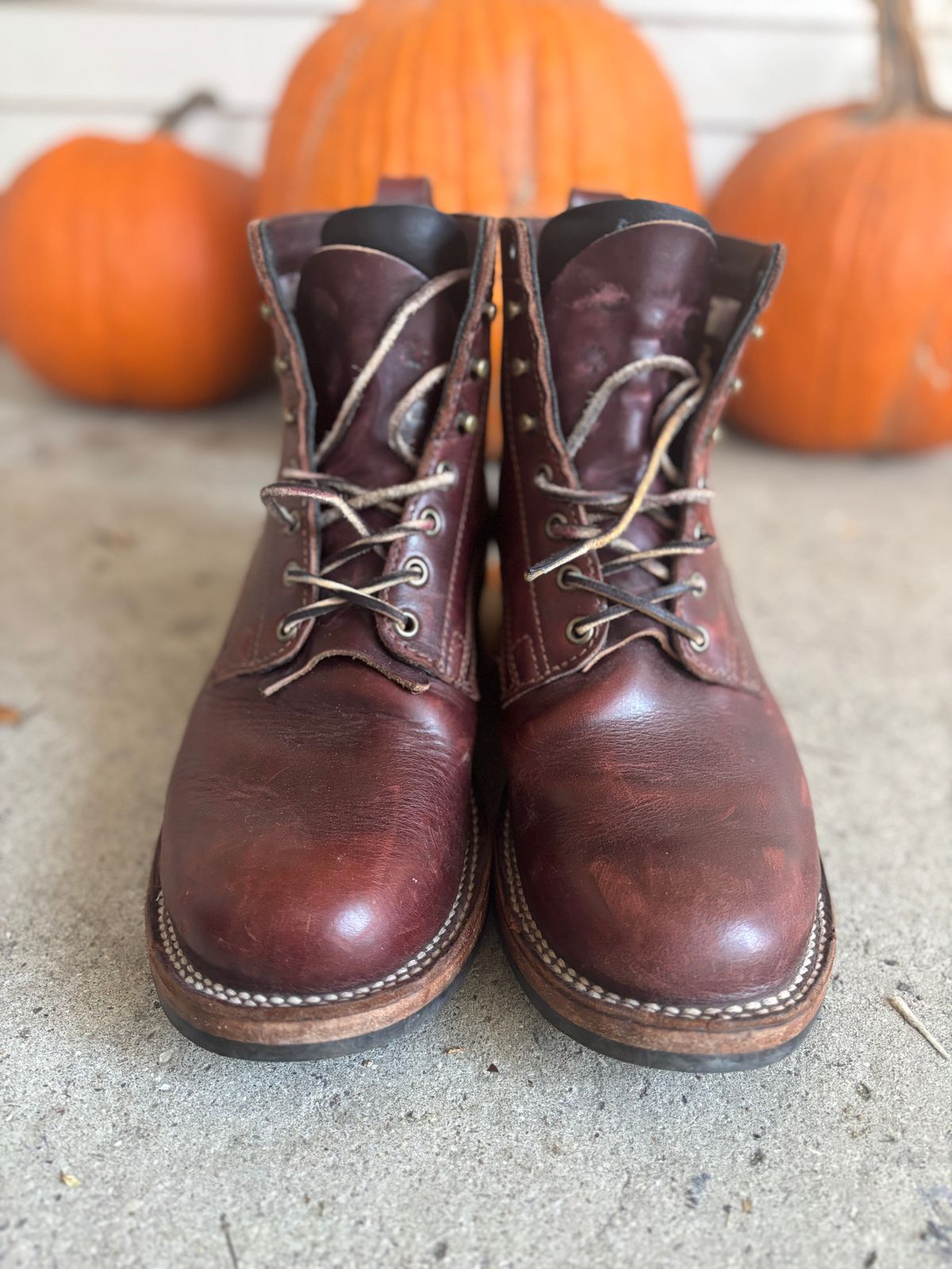 Photo by DiscoBiscuits on November 2, 2025 of the Drew's Boots 6-Inch Contractor in Rogue Smooth.