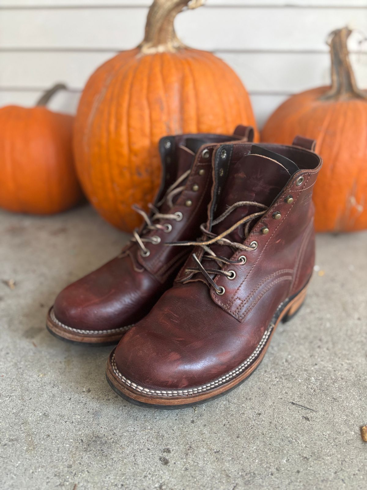 Photo by DiscoBiscuits on November 2, 2025 of the Drew's Boots 6-Inch Contractor in Rogue Smooth.