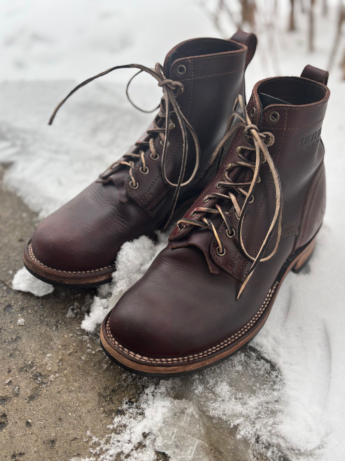 Photo by DiscoBiscuits on January 5, 2026 of the Drew's Boots 6-Inch Contractor in Rogue Smooth.