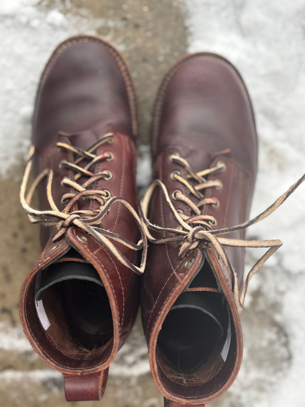 Photo by DiscoBiscuits on January 5, 2026 of the Drew's Boots 6-Inch Contractor in Rogue Smooth.