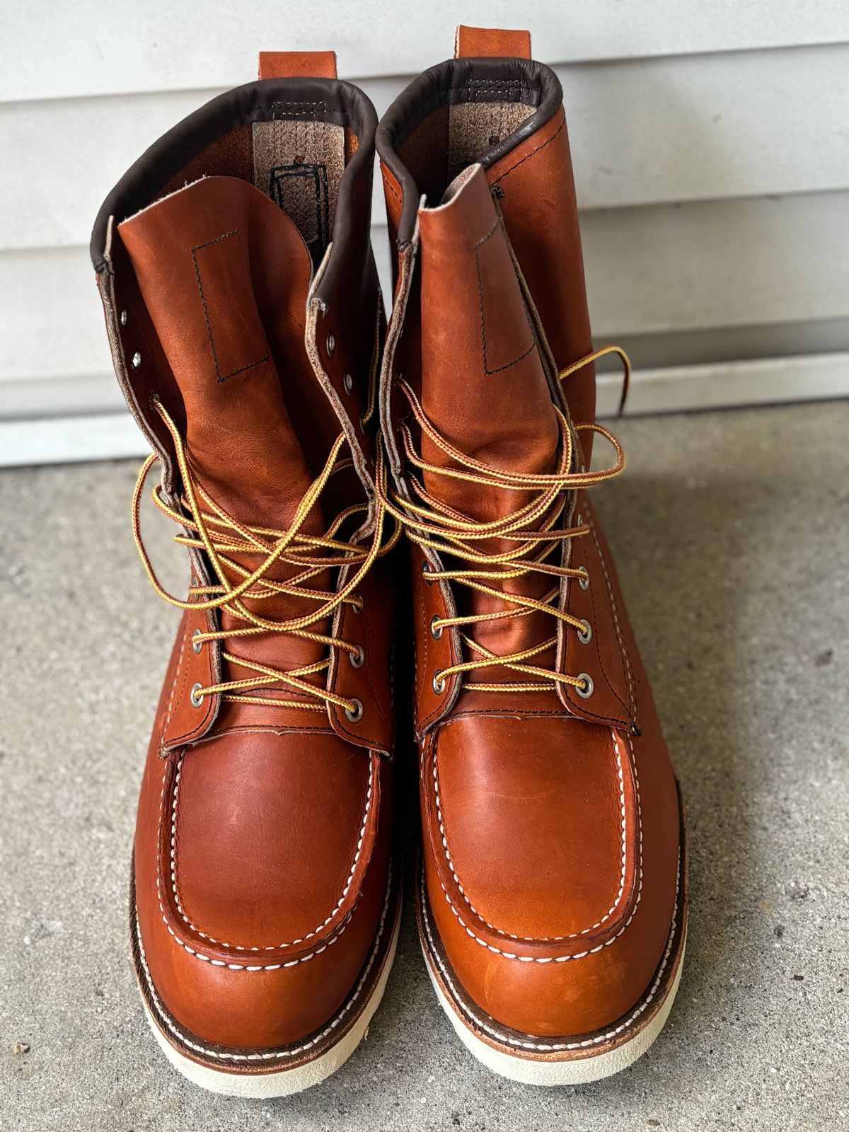 Photo by DiscoBiscuits on October 1, 2024 of the Red Wing 8-Inch Classic Moc in S.B. Foot Oro Legacy.