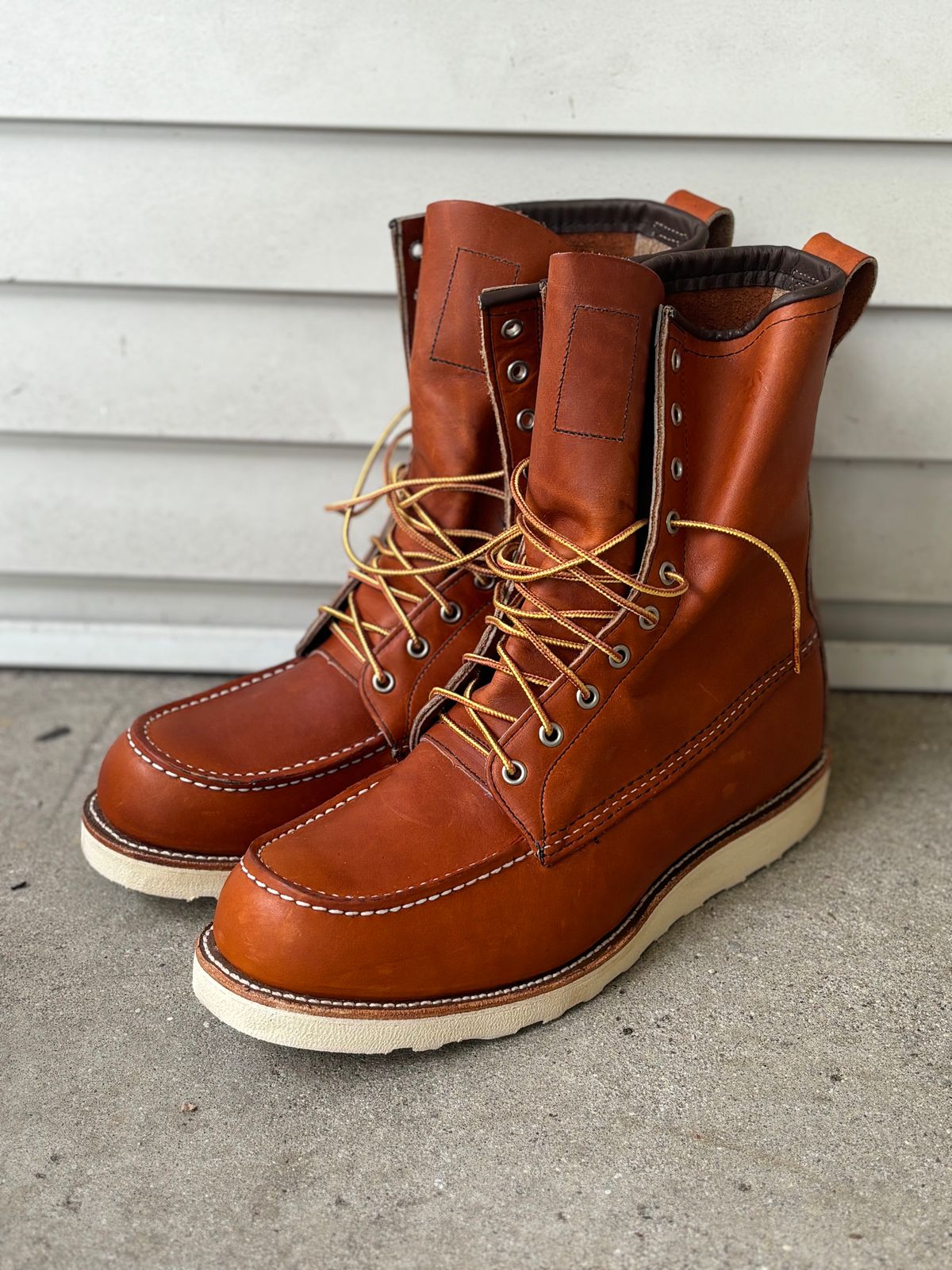 Photo by DiscoBiscuits on October 1, 2024 of the Red Wing 8-Inch Classic Moc in S.B. Foot Oro Legacy.