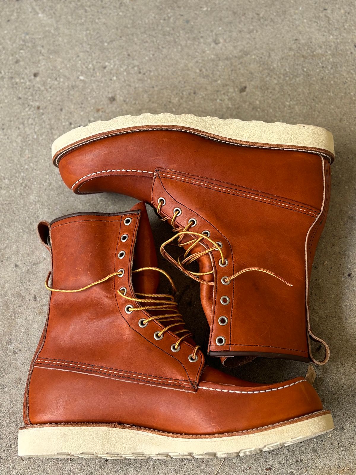 Photo by DiscoBiscuits on October 1, 2024 of the Red Wing 8-Inch Classic Moc in S.B. Foot Oro Legacy.
