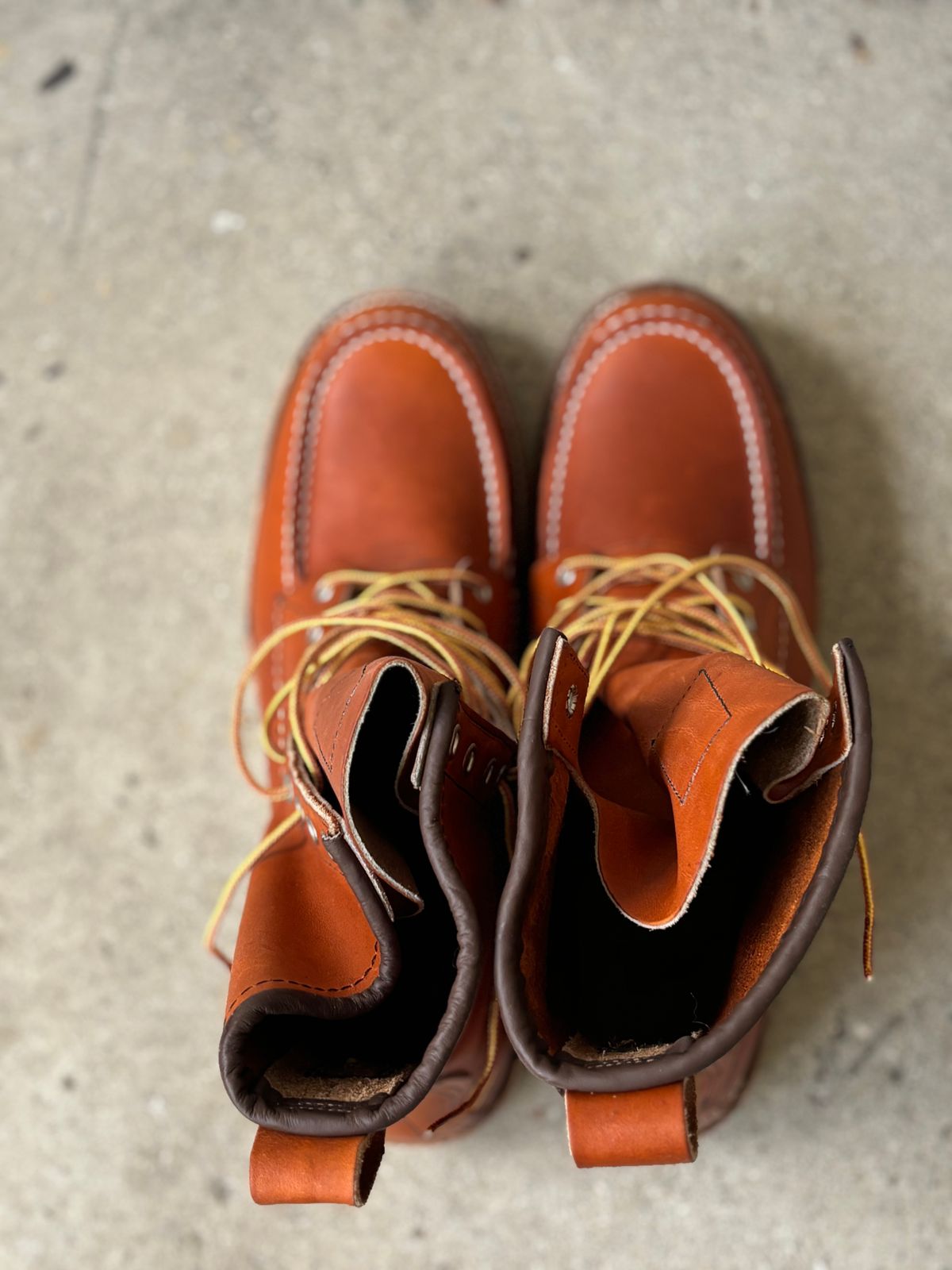 Photo by DiscoBiscuits on October 1, 2024 of the Red Wing 8-Inch Classic Moc in S.B. Foot Oro Legacy.