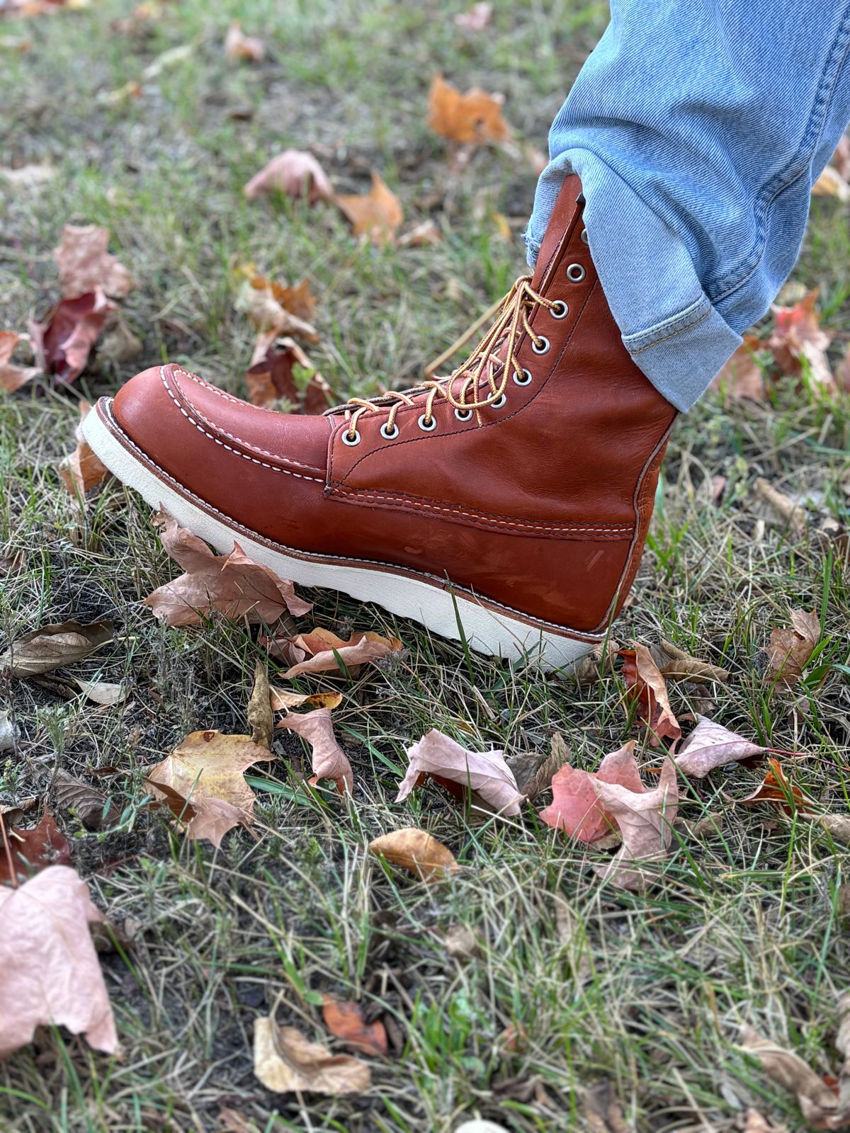 Photo by DiscoBiscuits on October 1, 2024 of the Red Wing 8-Inch Classic Moc in S.B. Foot Oro Legacy.