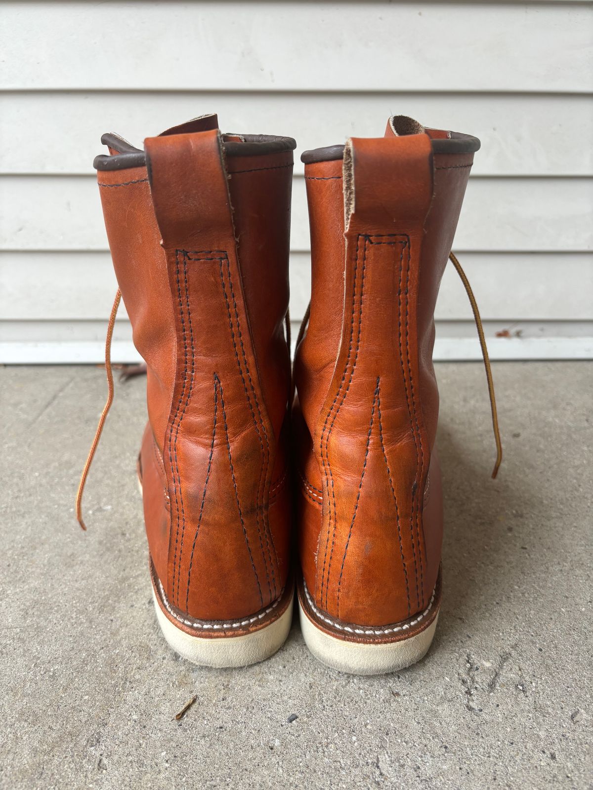 Photo by DiscoBiscuits on November 3, 2024 of the Red Wing 8-Inch Classic Moc in S.B. Foot Oro Legacy.