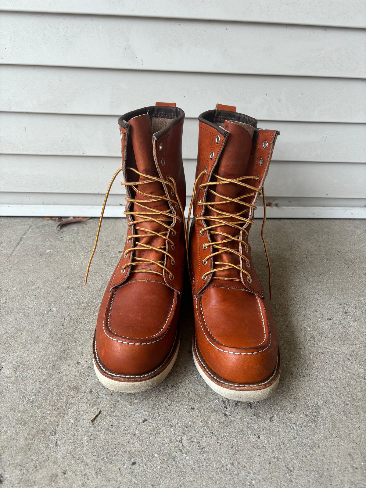 Photo by DiscoBiscuits on November 3, 2024 of the Red Wing 8-Inch Classic Moc in S.B. Foot Oro Legacy.