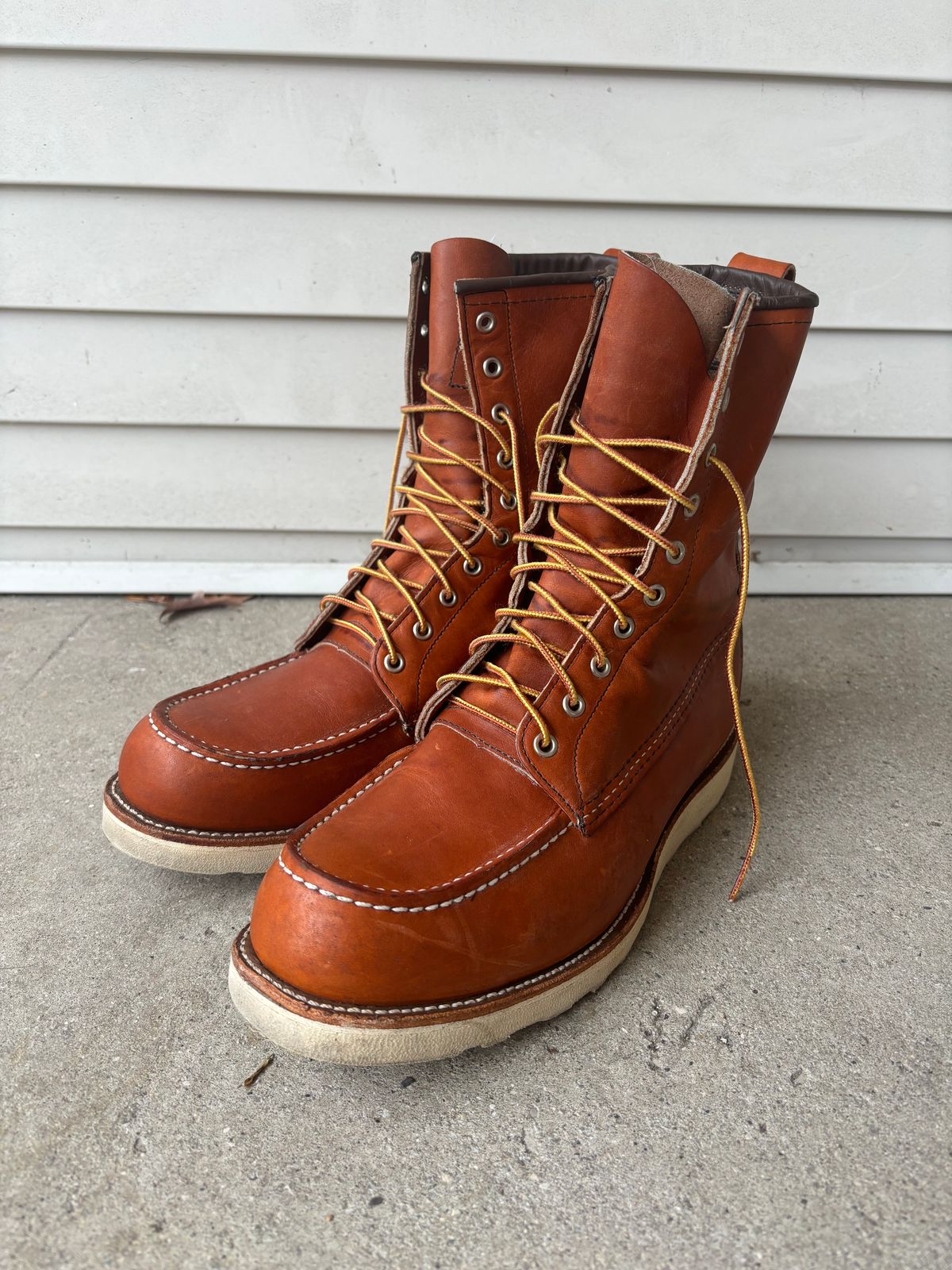Photo by DiscoBiscuits on November 3, 2024 of the Red Wing 8-Inch Classic Moc in S.B. Foot Oro Legacy.