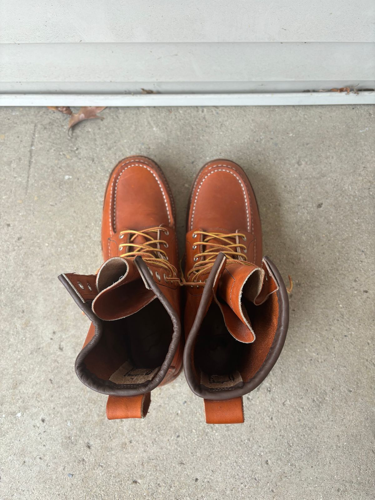 Photo by DiscoBiscuits on November 3, 2024 of the Red Wing 8-Inch Classic Moc in S.B. Foot Oro Legacy.