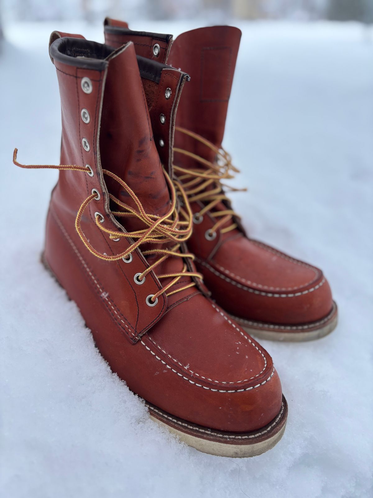 Photo by DiscoBiscuits on December 3, 2024 of the Red Wing 8-Inch Classic Moc in S.B. Foot Oro Legacy.