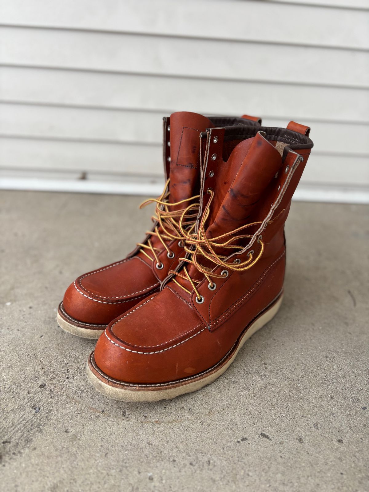 Photo by DiscoBiscuits on December 3, 2024 of the Red Wing 8-Inch Classic Moc in S.B. Foot Oro Legacy.