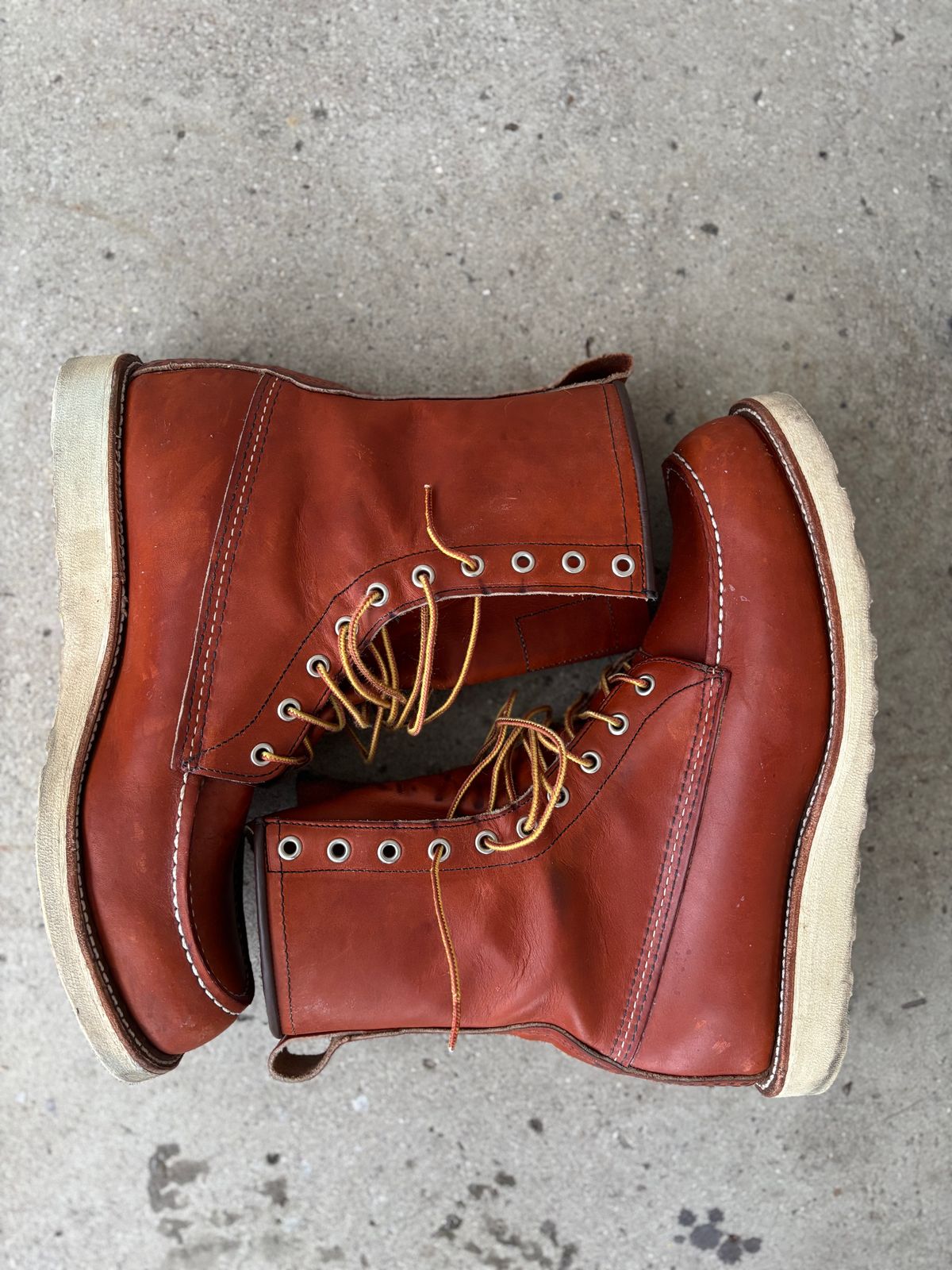 Photo by DiscoBiscuits on December 3, 2024 of the Red Wing 8-Inch Classic Moc in S.B. Foot Oro Legacy.