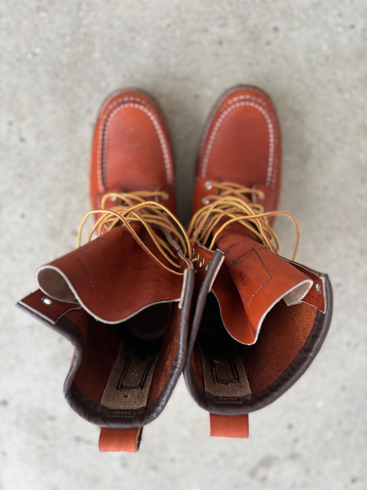 Photo by DiscoBiscuits on December 3, 2024 of the Red Wing 8-Inch Classic Moc in S.B. Foot Oro Legacy.